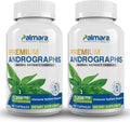 Premium Andrographis Paniculata Extract 2 Pack - 1,200mg (100mg Andrographolides) per Serving, Non-GMO, Vegan, Gluten Free