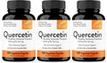 Sandhu's Quercetin Vegetarian Capsules Supplements 120 Count (Pack of 3) | Bioflavonoids for Immune Support & Respiratory Health, Seasonal Allergy Support | Quercitin for Men and Women