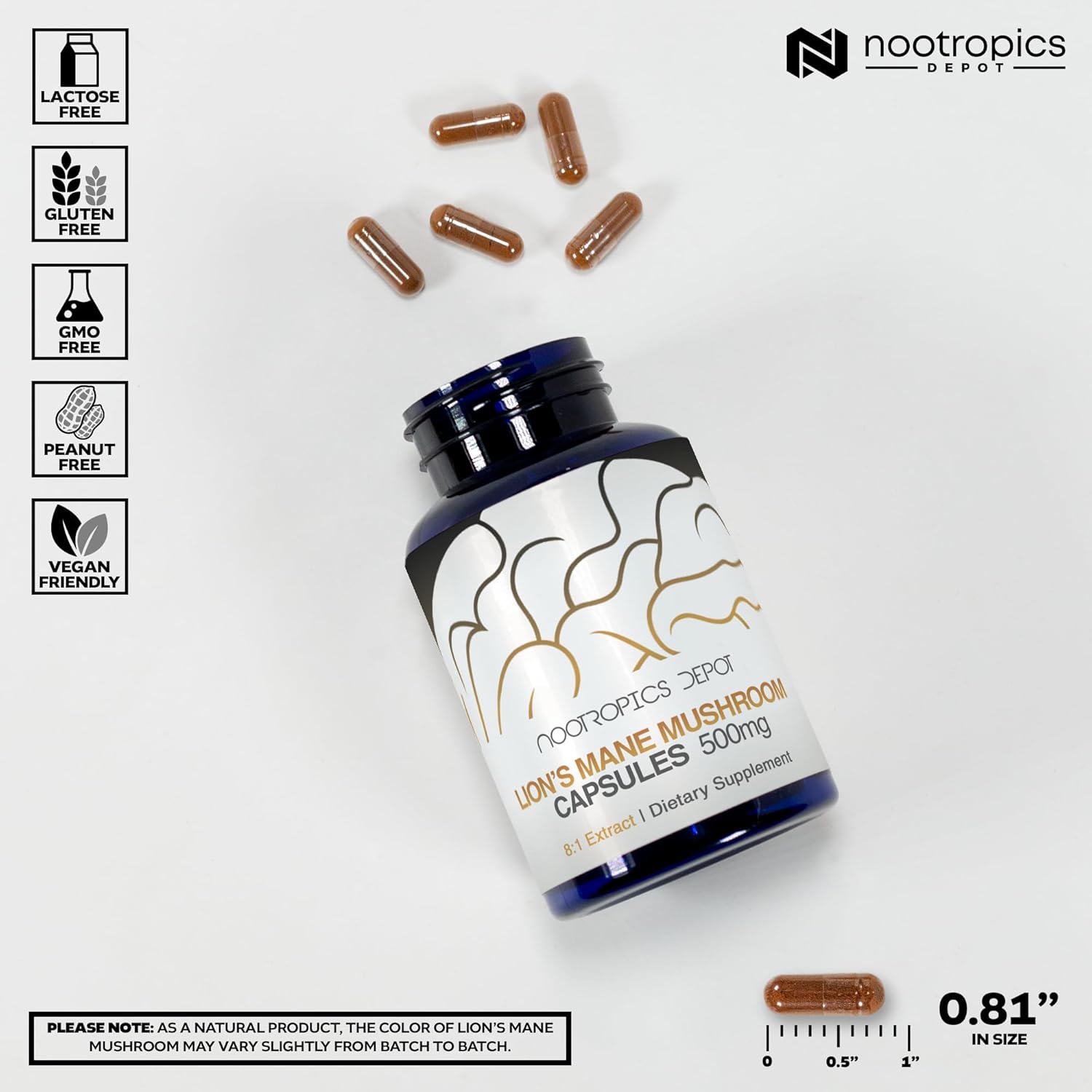 Nootropics Depot Lions Mane Mushroom Capsules | 8:1 Whole Fruiting Body Dual Extract | 500mg | 60 Count | Hericium erinaceus