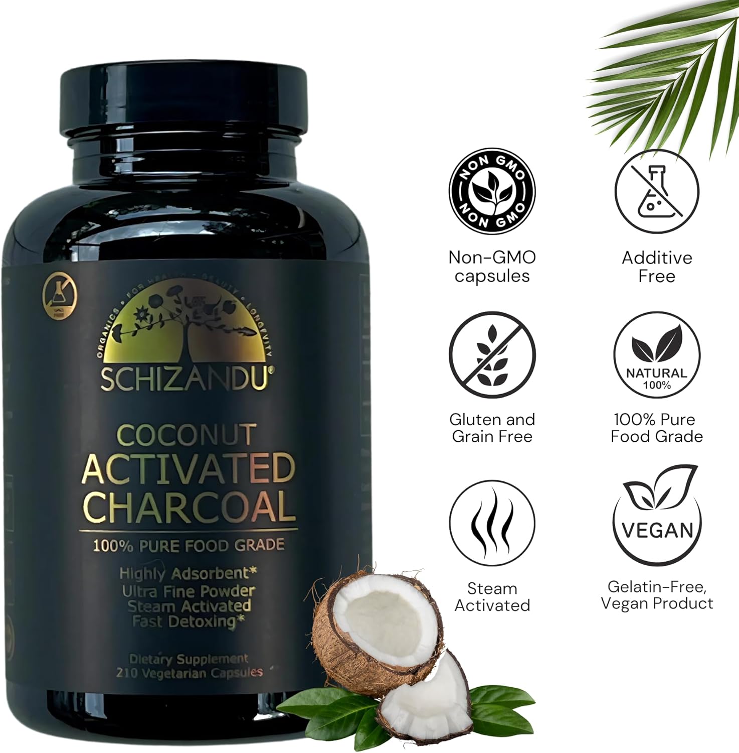 Activated Coconut Charcoal Capsules- Supports Health - Vegan, Organic, Non-GMO, No Additives - X-Large Bottle 210 Count