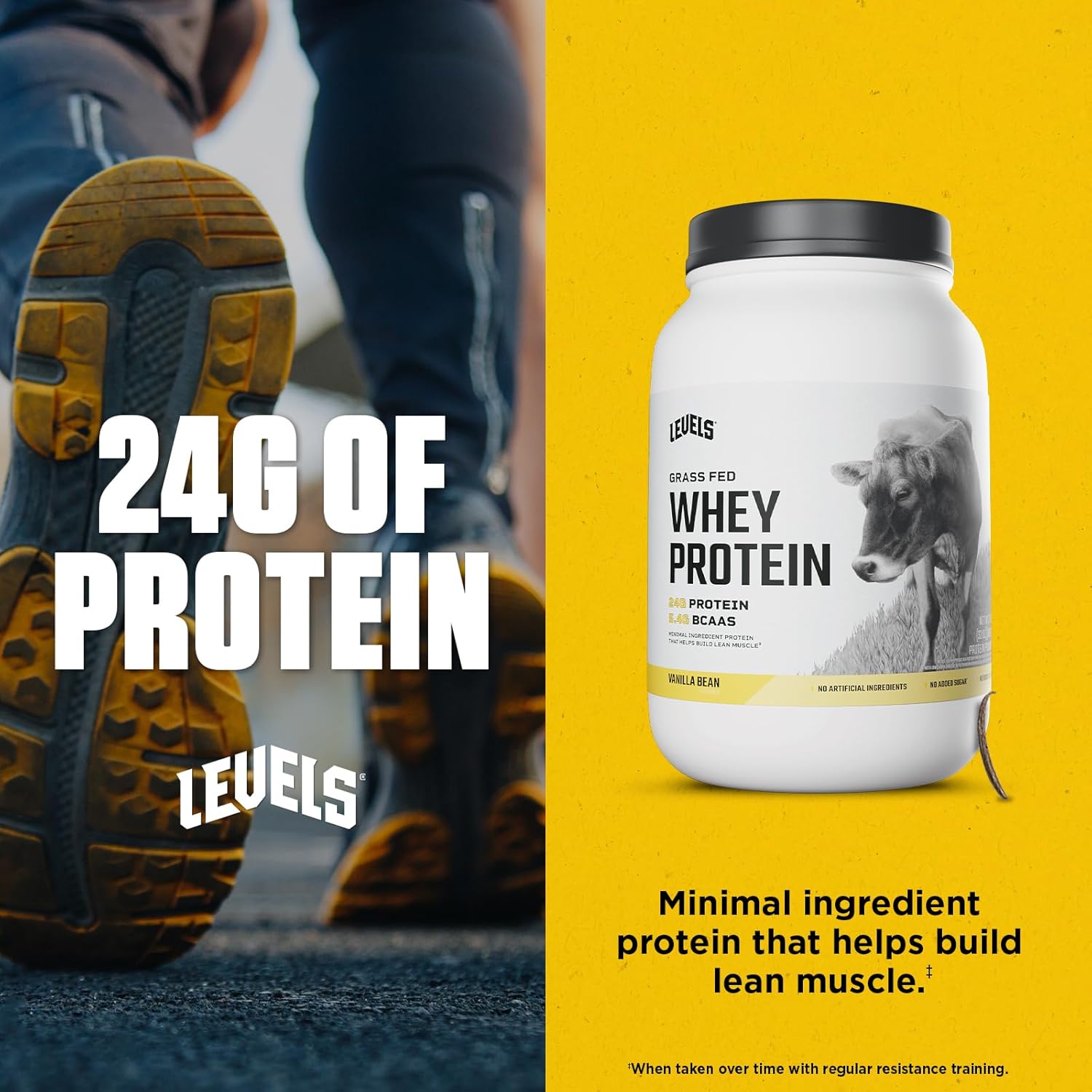 Levels Grass Fed Whey Protein Powder, No Artificials, 24G of Protein, Vanilla Bean, 2LB