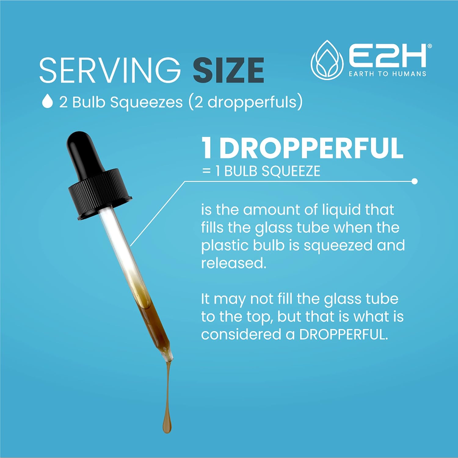 E2H Liver Support Supplement with Milk Thistle - Liver Health Formula - Artichoke Extract, Dandelion Root, Chanca Piedra, and More - Absorbent Liquid Formula (2 Bottles)