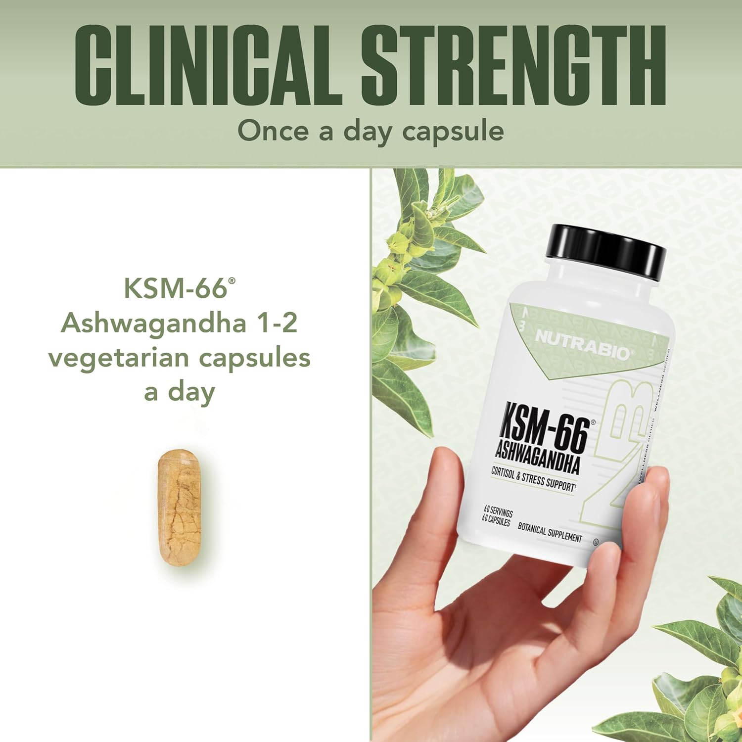 NutraBio Ashwagandha KSM-66 | Ashwaganda Herbal Supplement for Stress, Mood, & Performance | 600 MG of Clinically Studied KSM66 60 Capsules
