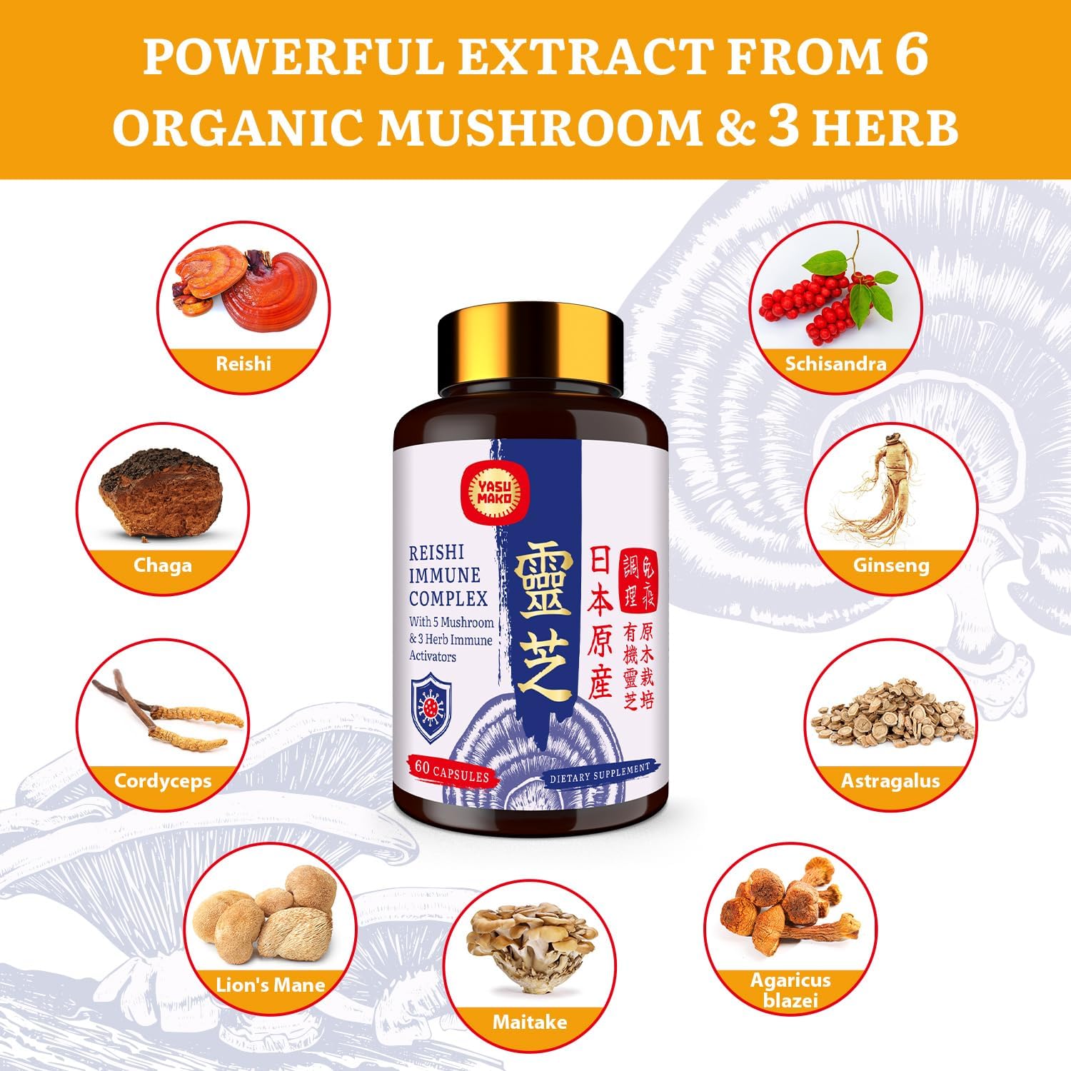 Japanese Reishi Mushroom Complex Supplement 1500mg - Reishi,Chaga,Cordyceps,Lion's Mane,Maitake,Agaricus Mushrooms Extract & 3 Herb,Organic Mushroom Capsules for Immune,Brain (Pack of 2)