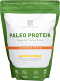 Amy Myers MD Paleo Protein Powder - Pumpkin Spice, 30 Servings - Collagen-Based Gut Function Support - Gluten-Free & Non-Dairy Protein Supplement