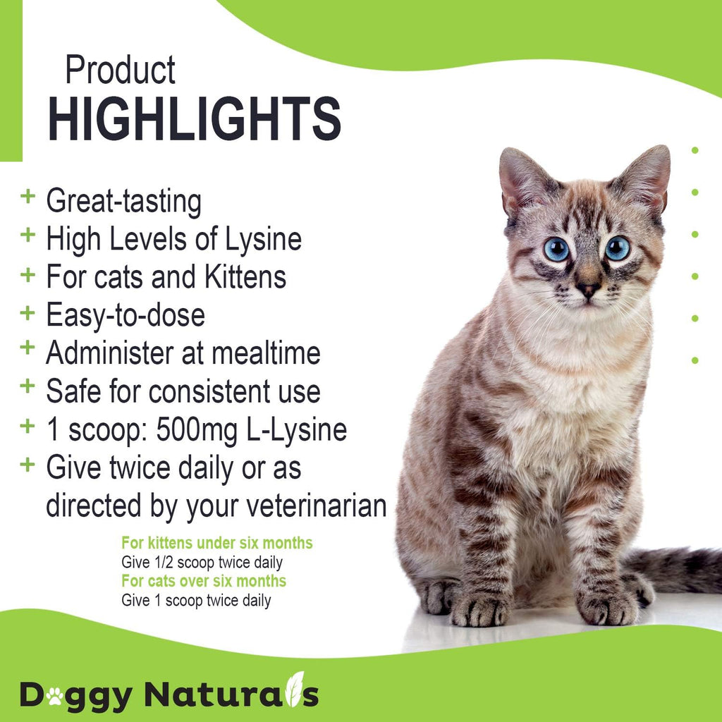Trulysine L-Lysine for Cats Immune Support Oral Powder 21.2oz/600g - Cats & Kittens of All Age, Sneezing, Runny Nose Squinting, Watery Eyes-Fish & Poultry Flavor (U.S.A)(600 Grams (500mg / Scoop))