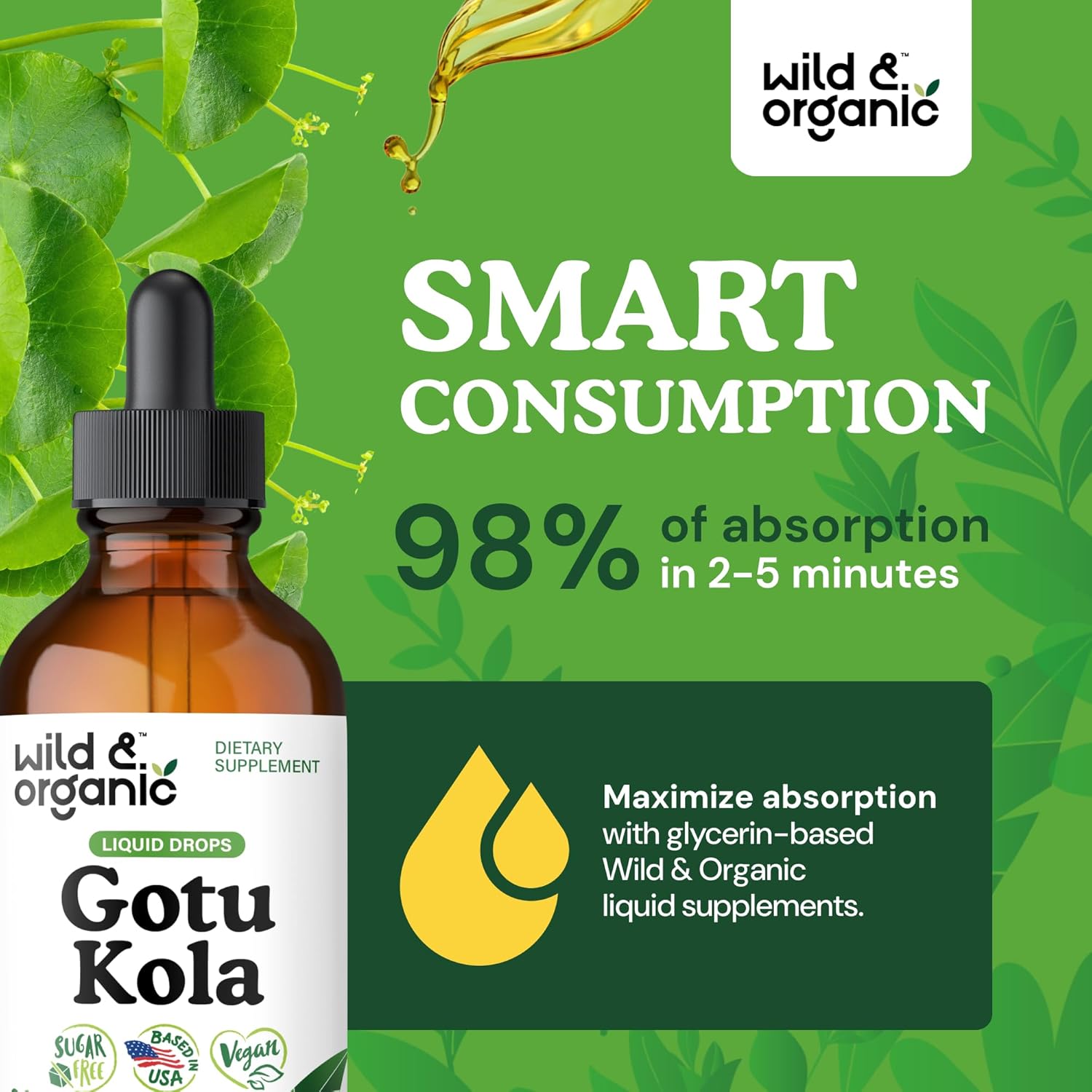 Wild & Organic Gotu Kola Extract Drops - Brain Support with Centella Asiatica Extract - Liquid Gotu Kola Supplement for Focus - Vegan, Sugar & Alcohol-Free Herb Tincture - 4 fl oz