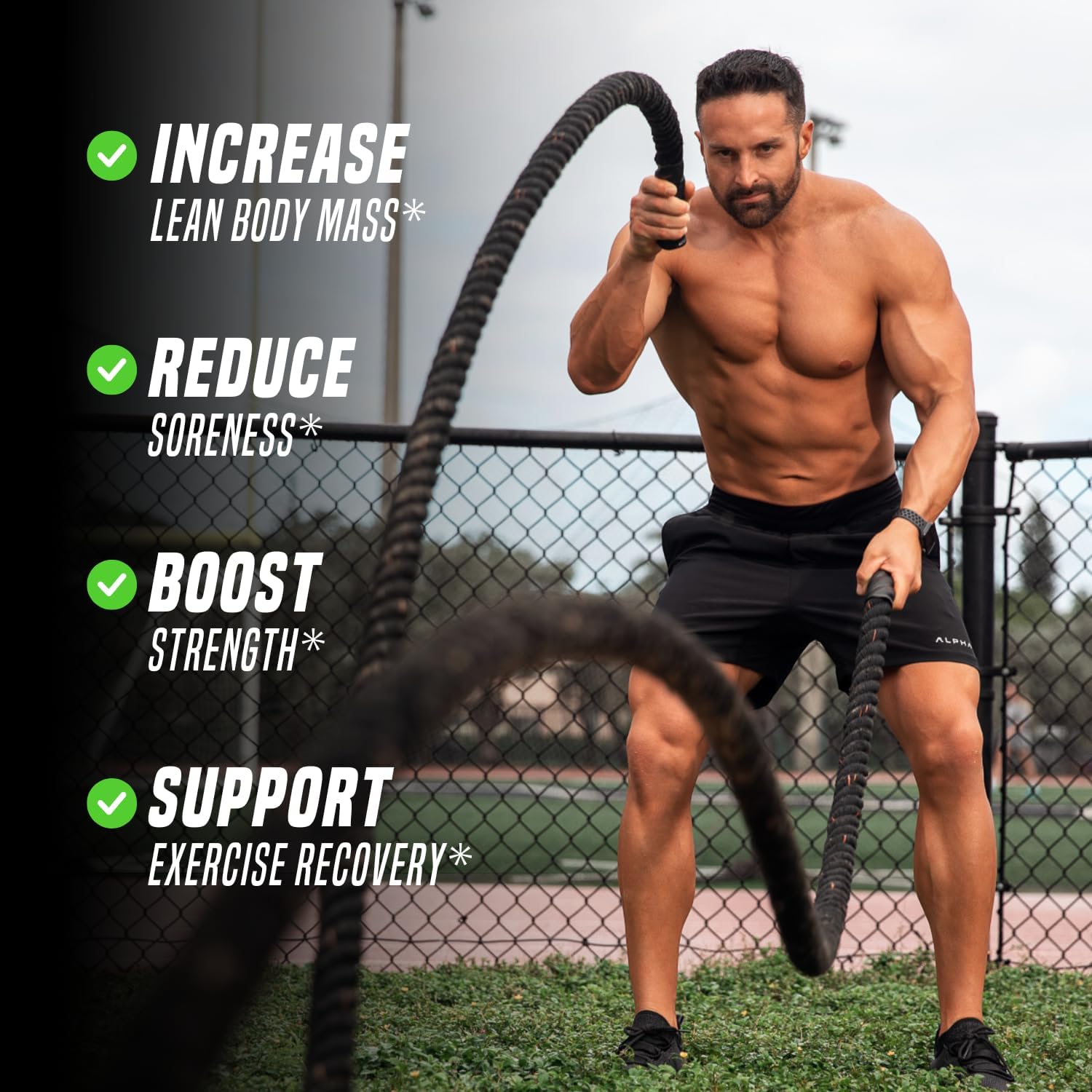 Outwork Nutrition Post Workout Recovery Powder - Creatine Monohydrate, KSM-66 Ashwagandha & Tart Cherry - Speeds Recovery, Eases Soreness - Creatine Powder for Men & Women, Green Apple, 240 Gr