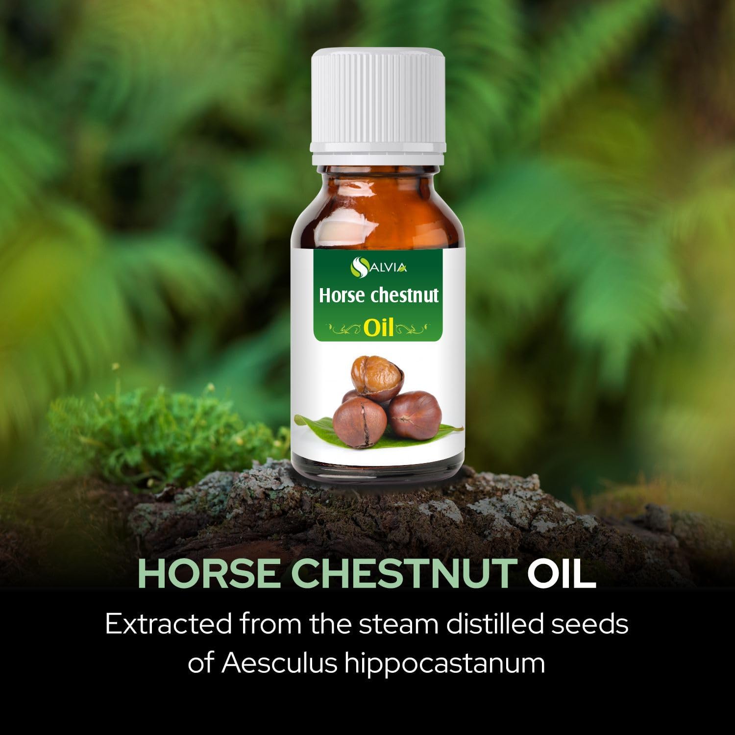 Salvia, Horse Chestnut Oil Pure and Natural Horse Chestnut Oil Firm Skin, Skin Hydration, Skin Toning, Cosmetic Grade Skincare, Hair Care, and DIY Purpose 30 ML