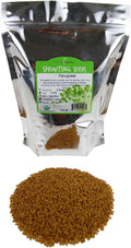 Organic Fenugreek Sprouting Seeds - Seeds for Planting, Hydroponics, Growing Sprouts, Grinding for Spices & More (2.5 Lb)