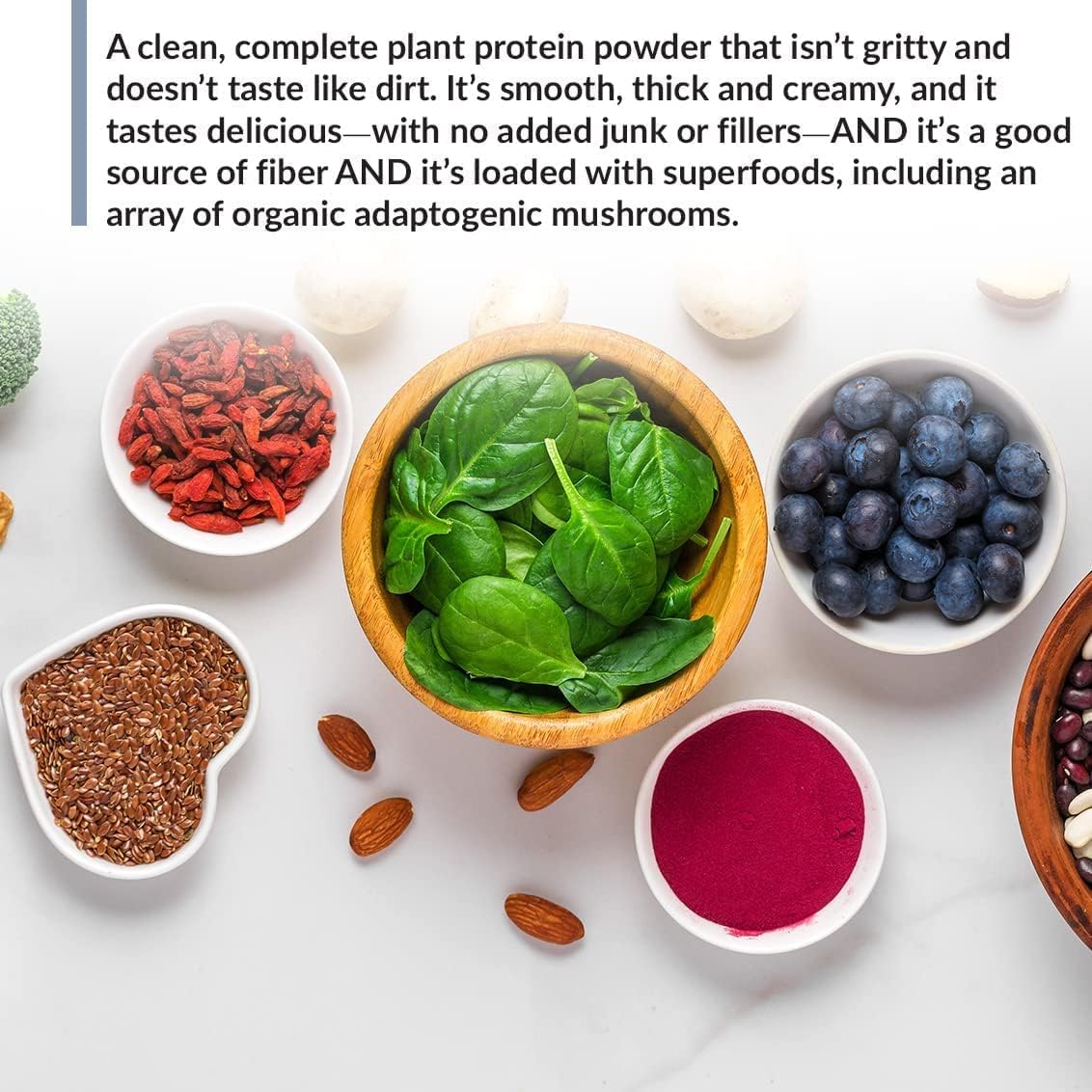 BioTrust Low Carb Plant, Delicious, Creamy, 20 Grams of Clean, Complete, Plant-Based Protein, 5 Grams Fiber, 15 Superfoods, Vegan, Dairy-Free -14 Servings (Vanilla Caramel)
