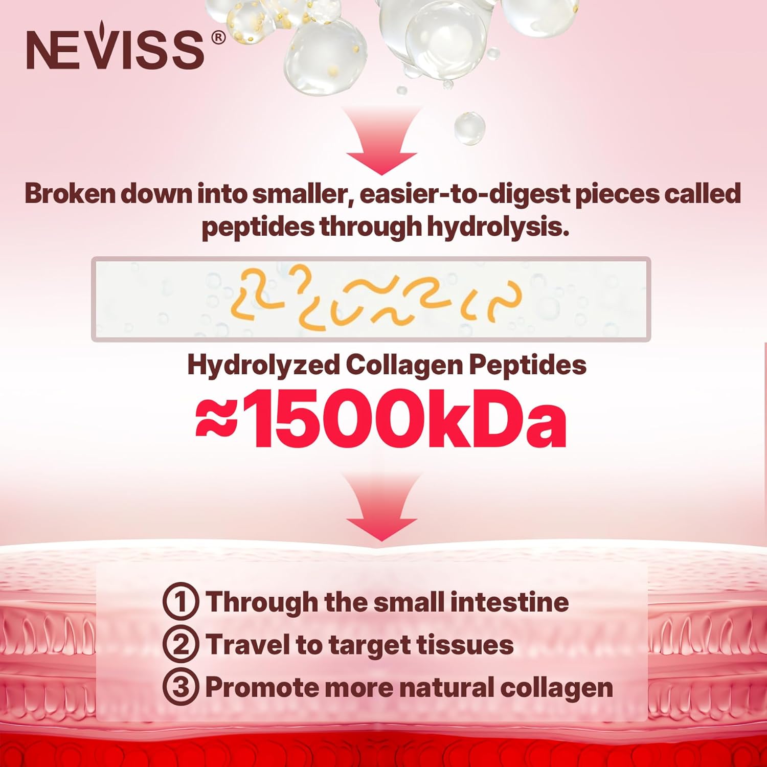 Collagen Peptides Gummies for Women & Men, Hydrolyzed Collagen (Type I,II,III,V,X) w/ 5000IU Vitamin D3 & Biotin Keratin, Multi Collagen Supplement Gummy for Healthy Aging, Skin Hair-Sugar Free, 60Cts