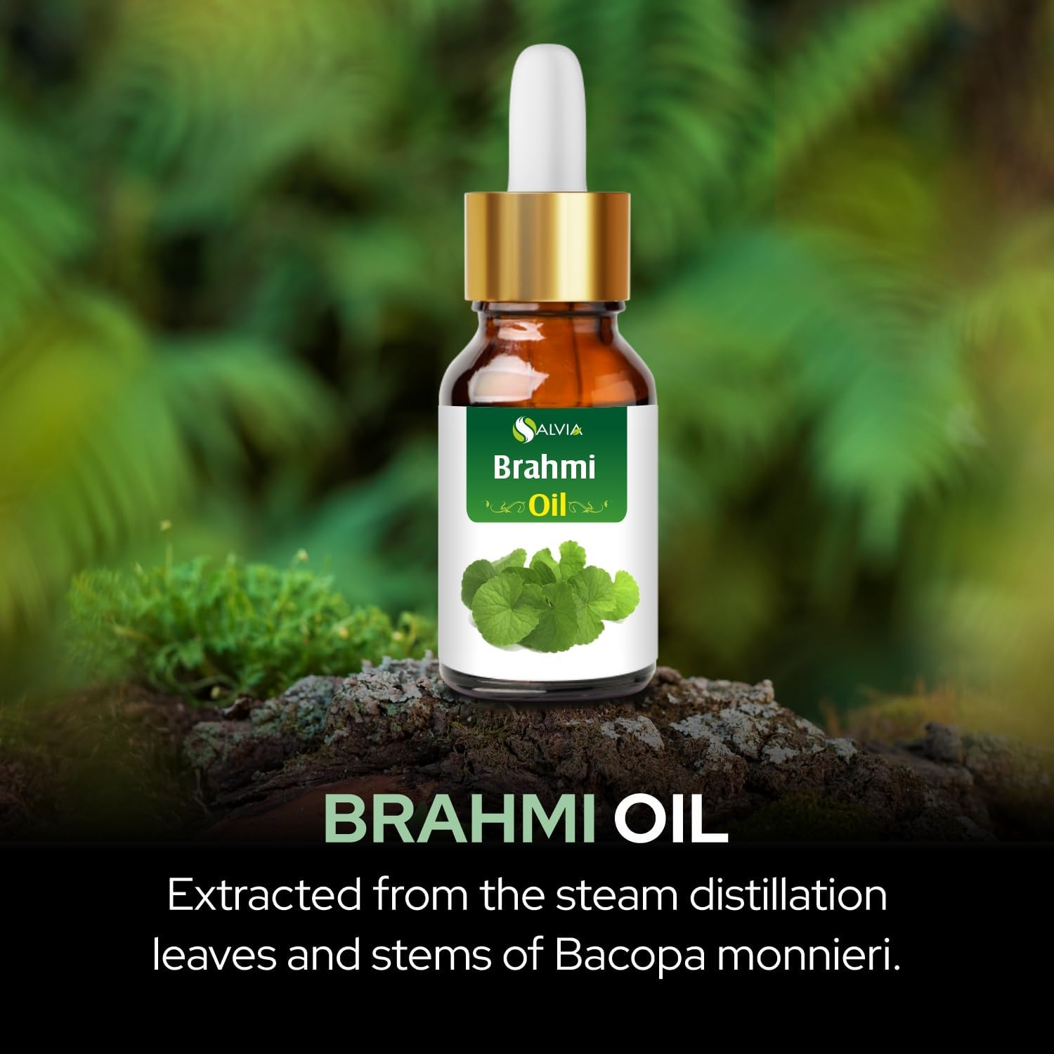 Brahmi (Piper Nigrum) Essential Oil Pure & Natural - Undiluted Uncut Infused Oil
