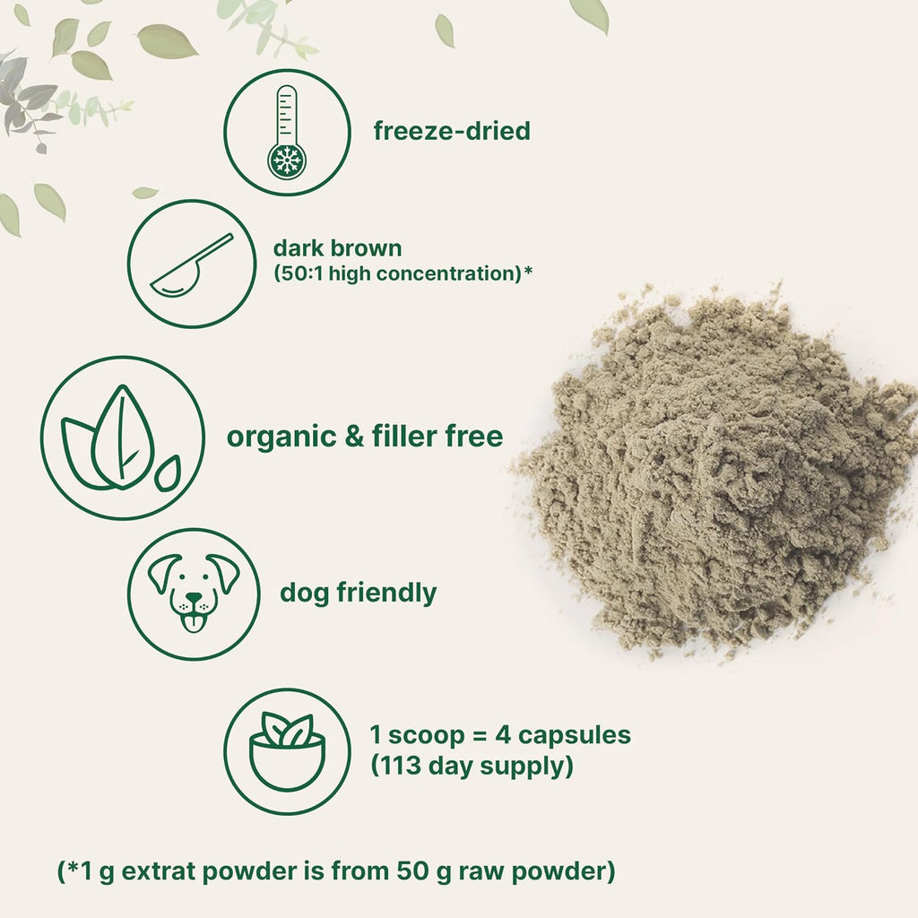 Micro Ingredients Organic Turkey Tail Mushroom Powder (50:1 Extract), 8 Ounce | Freeze Dried with Active Polysaccharides, Supports Immune Response & Cellular Level, Pet Friendly