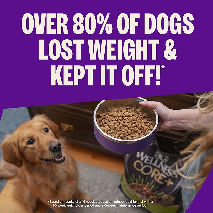 Wellness CORE Dry Dog Food, Grain-Free, High Protein, Natural, Healthy Weight Turkey & Chicken Recipe, (4-Pound Bag)