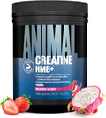 Animal Creatine HMB Powder – 5g Creatine + 3g myHMB with Electrolytes for Recovery & Daily Energy – Dragon Berry Flavor, 30 Servings