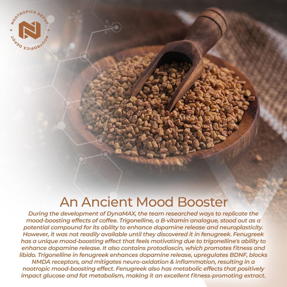 Nootropics Depot Fenugreek Extract Capsules | 500mg | 180 ct | 3% Trigonelline, 1% Protodioscin | Trigonella foenum-graecum | Mood, Fitness, & Metabolic Function