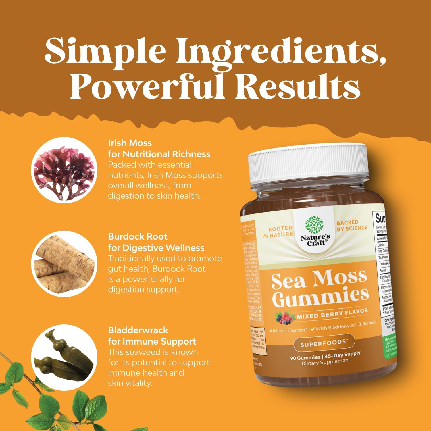Natures Craft Irish Sea Moss Gummies for Women, Men & Kids - Immune Support Supplement with Irish Sea Moss, Bladderwrack & Burdock Root - Detox Gummies for Body Cleanse - 90 Chewable Gums