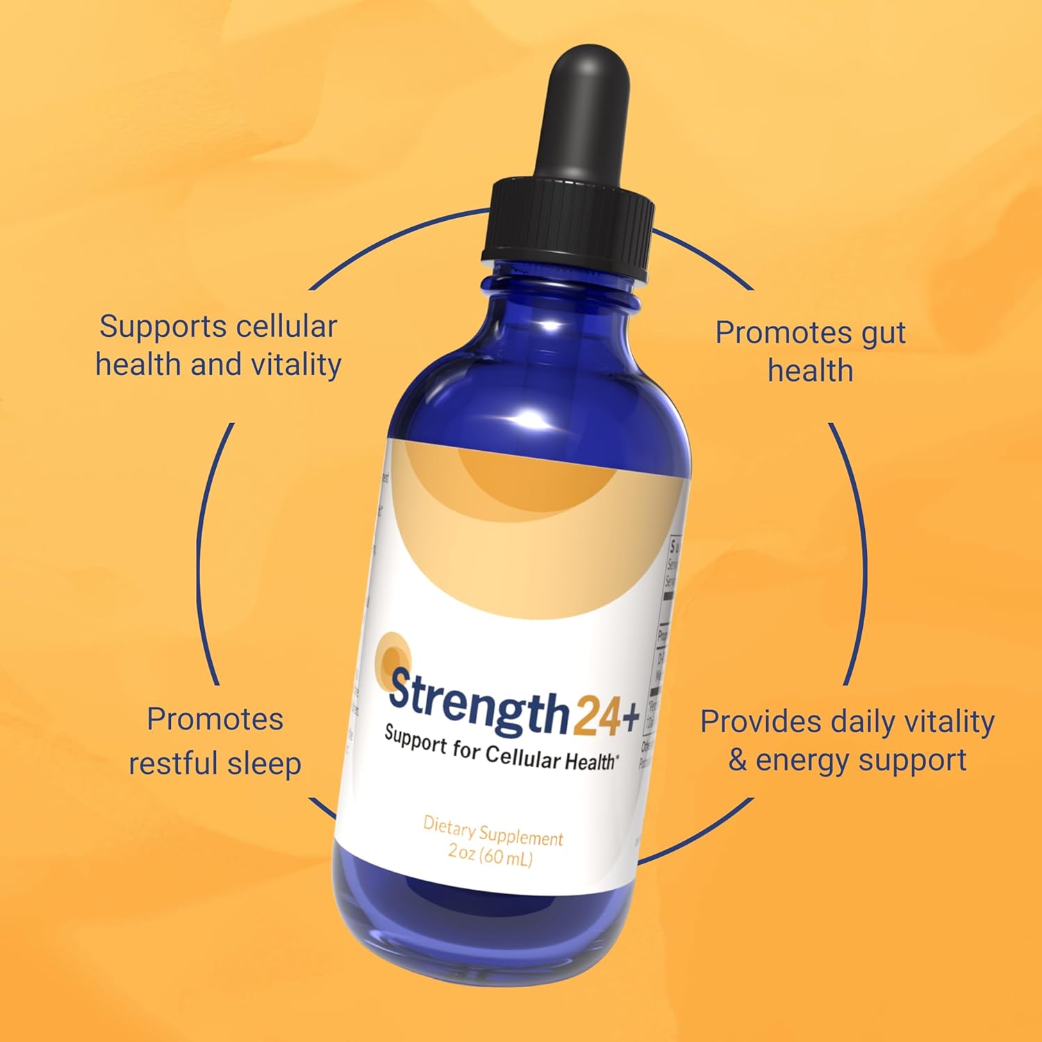 Strength24+ Dietary Supplement for Cellular Health, Muscle Recovery, and Vibrant Aging