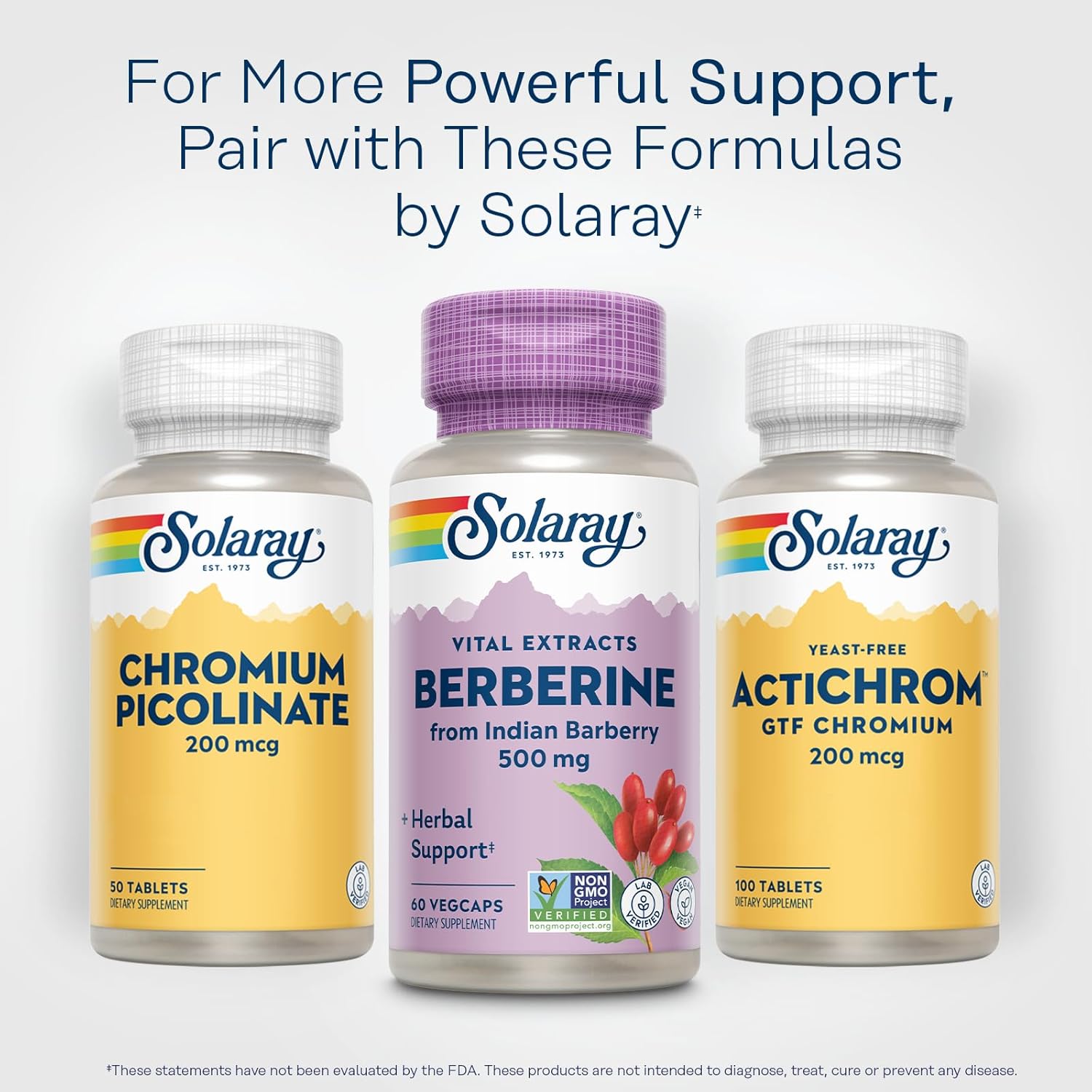 SOLARAY Berberine 500mg - Berberine Supplement for a Healthy, Active Lifestyle - with Berberine HCl from Indian Barberry - Vegan, Non-GMO, 60-Day Guarantee, Lab Verified - 60 Servings, 60 VegCaps