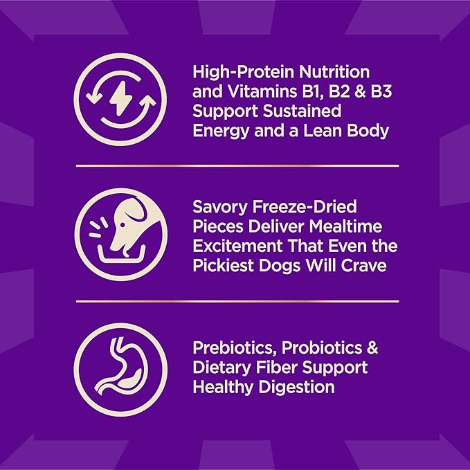 Wellness CORE+ Dry Dog Food with Freeze Dried Pieces, Grain Free, High Protein, Natural, Ocean Whitefish, Herring, & Salmon Recipe, (10-Pound Bag)