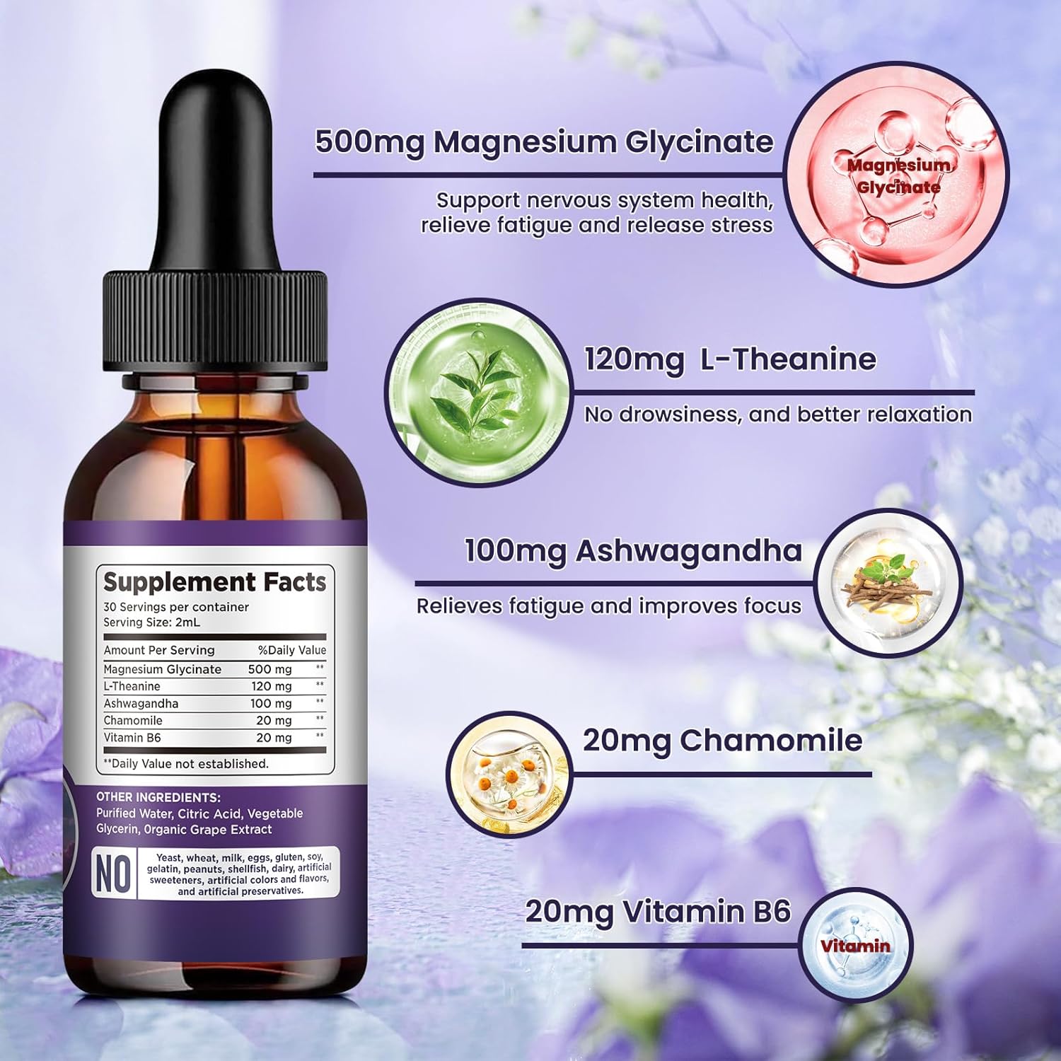 Magnesium Glycinate Liquid Drops 500mg, with Vitamin B6, Ashwagandha, L - Theanine, Chamomile, Magnesium Glycinate Supplement High Absorption for Sleep, Stress, Energy, Mood - Grape Flavor, 2 FL.OZ