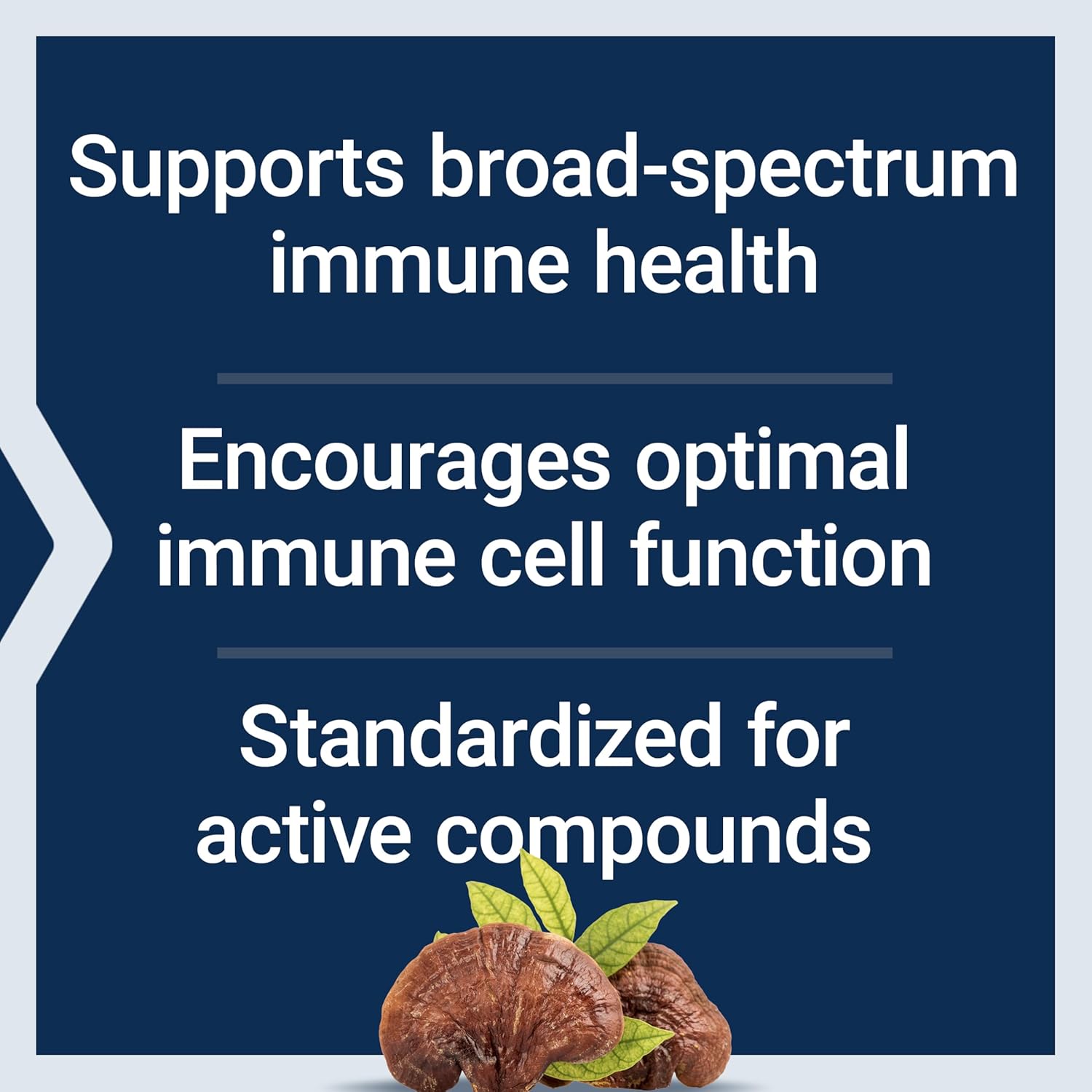 Life Extension Reishi Extract Mushroom Complex - Mushrooms Herbal Supplement for Immune Support – Ganoderma Lucidum Extract - Gluten-Free, Non-GMO, Vegetarian – 60 Capsules