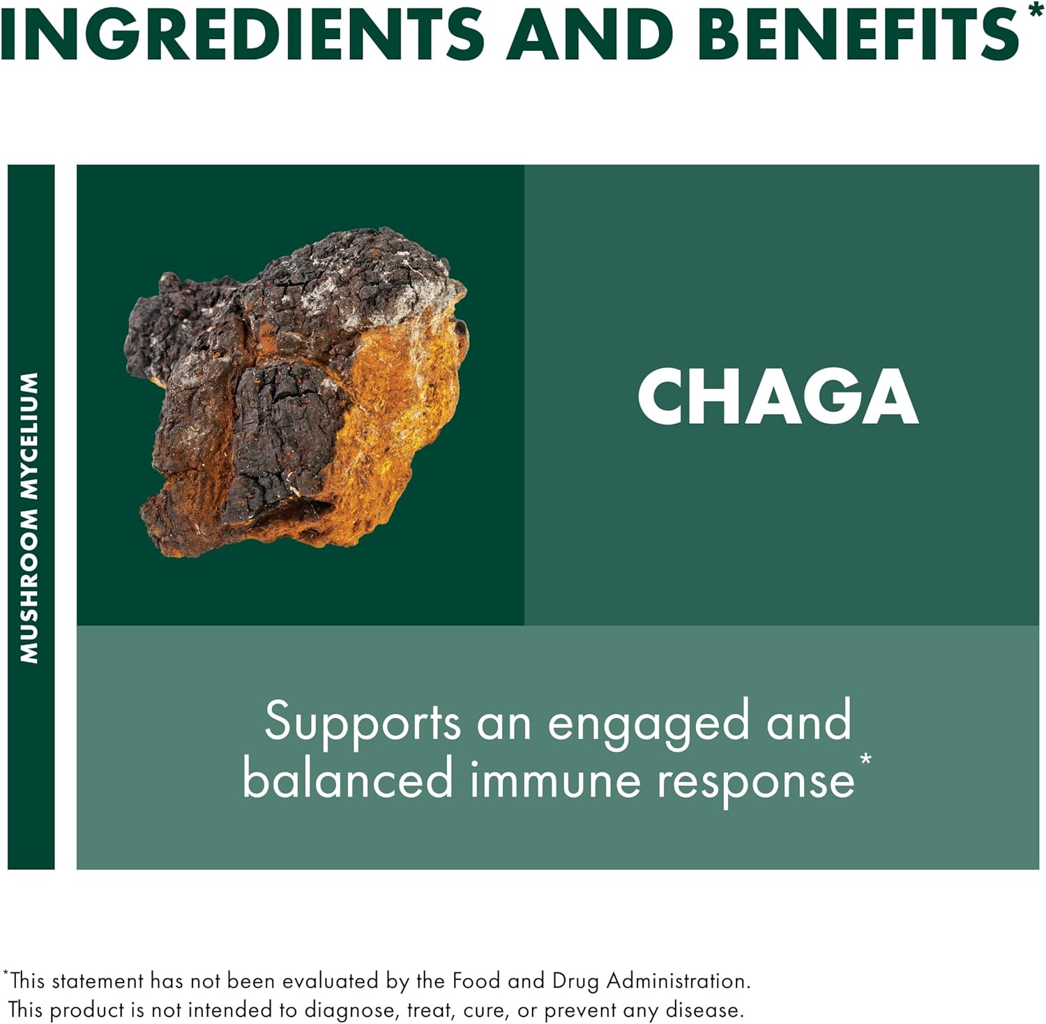 Host Defense Chaga Capsules - Immune System Support Supplement - Chaga Mushroom Capsules for Antioxidant Activity Support - Dietary Mushroom Supplement - 120 Capsules