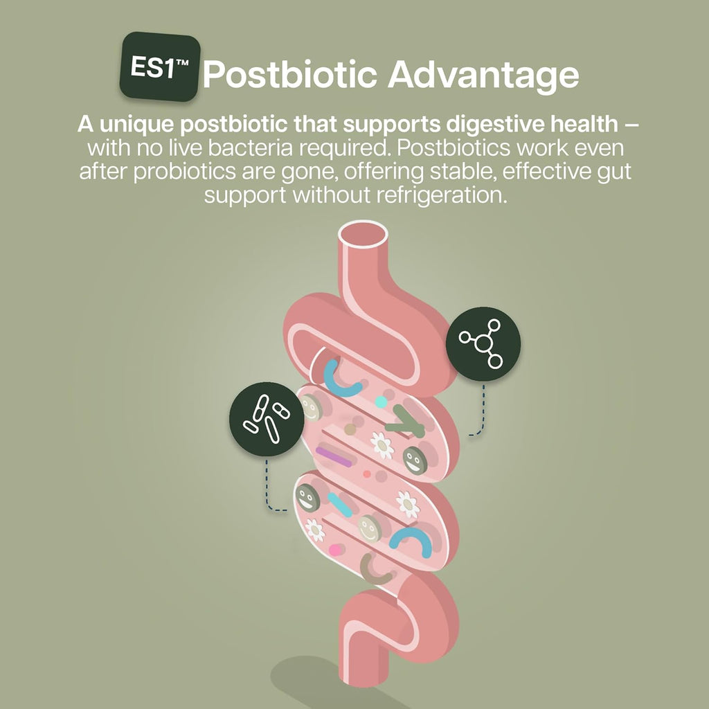 Houston Enzymes BioYummies Postbiotic Digestive Health Supplement with ES1 Postbiotics, Gut Health for Men & Women, Metabolites from Prebiotics and Probiotics, 60 Fruit Punch Flavor Chewable Gummies