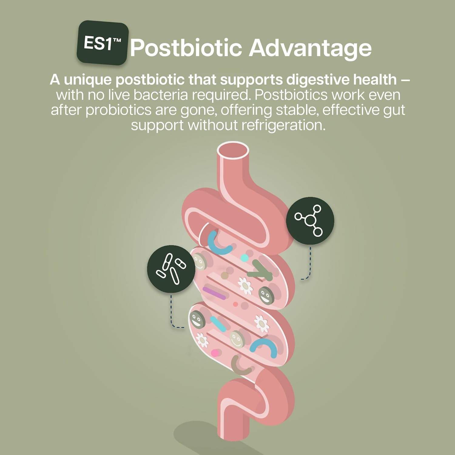 Houston Enzymes BioYummies Postbiotic Digestive Health Supplement with ES1 Postbiotics, Gut Health for Men & Women, Metabolites from Prebiotics and Probiotics, 60 Fruit Punch Flavor Chewable Gummies