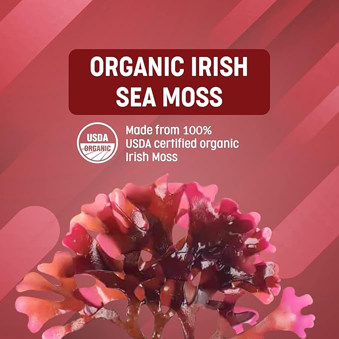 Ocean Optima Organic Sea Moss Capsules (Chondrus crispus) for Skin, Nail, Hair, and Gut, Naturally Occurring Kosher Iodine for Thyroid Support, Single-Ingredient Wild Irish Seamoss, Vegan, 90 Servings