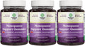 Womens Menopause Gummies with Dong Quai - Menopause Vitamins for Women with Ashwagandha - Holistic Support for Hot Flashes Night Sweats and Mood Swings - Pre & Post Supplements 60 Count - 3 Pack