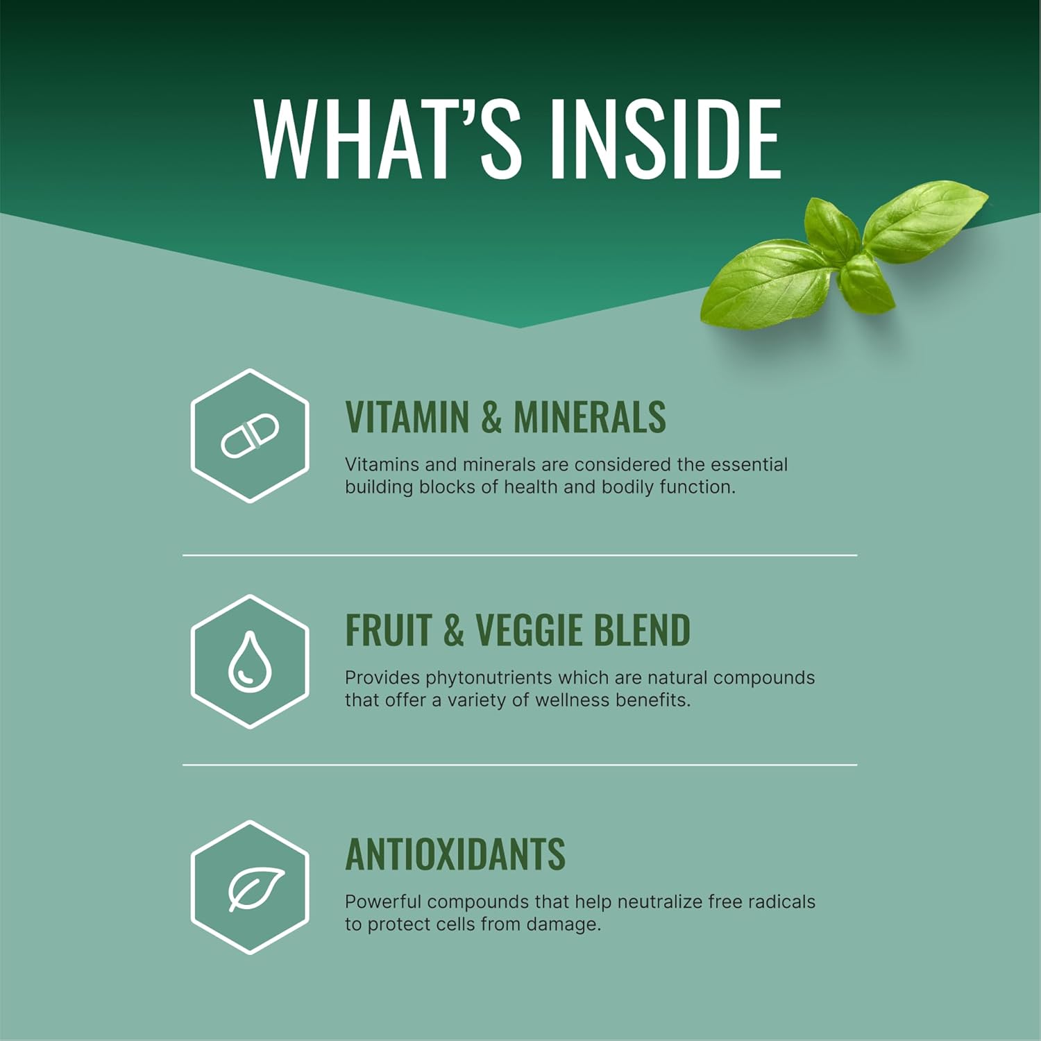 Approved Science Multi-Vitamin - with Full-Spectrum B-Vitamins, Green Tea, Lutein, Lycopene, Zeaxanthin, BioPerine - 360 Capsules - 6 Month Supply