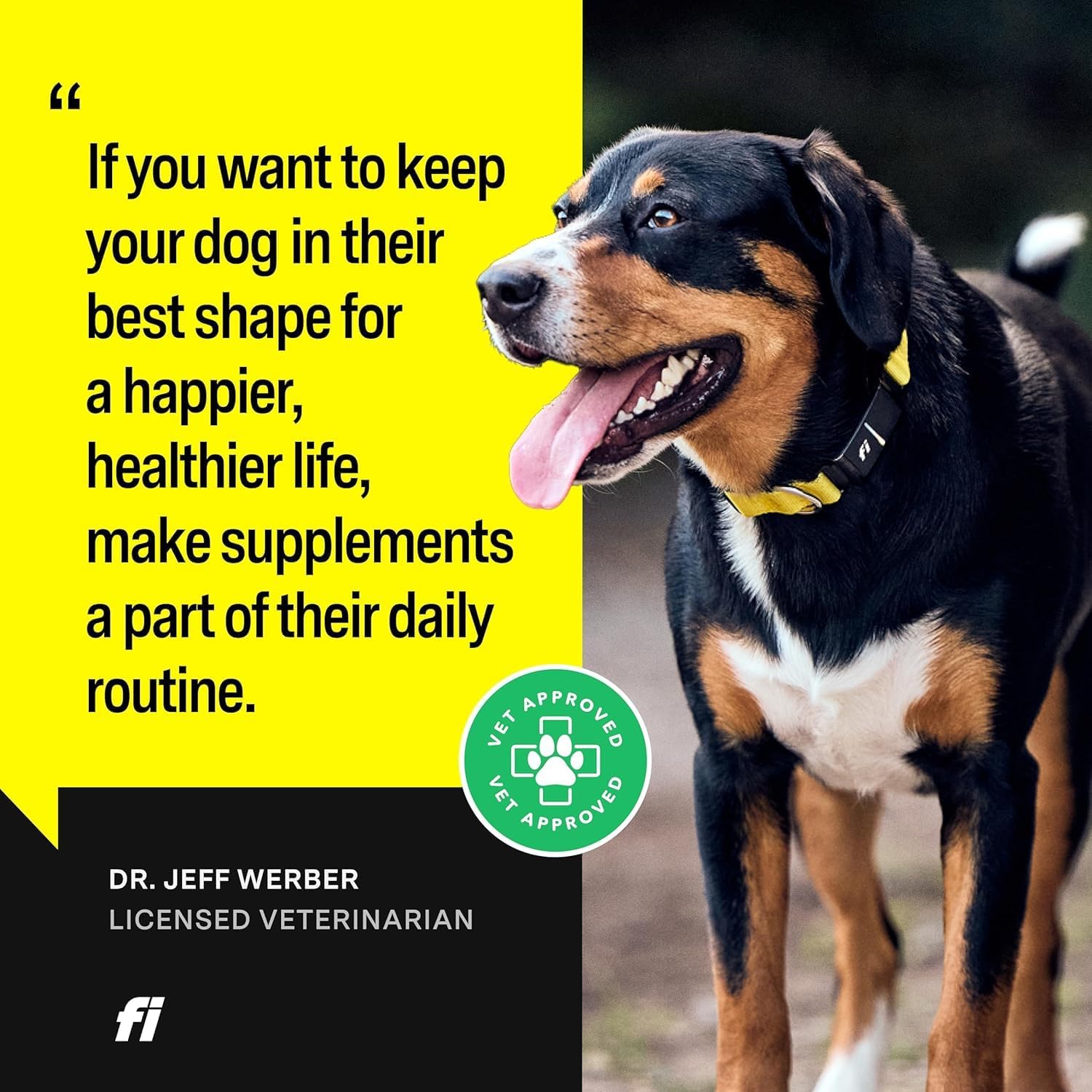 Fi 8-in-1 Dog Supplement Powder | Health Support for Bone, Skin, Digestion, Immunity & Joint Supplement for Dogs | Vet-Formulated for Puppies, Adults and Seniors | 90 Scoops