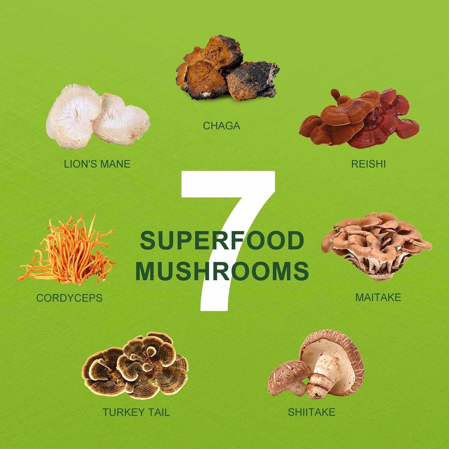 ORGFUN Mushroom Matcha, Japanese Ceremonial Matcha Infused With 7 Superfood Mushrooms, MCT Oil, Coconut Milk Powder, No Added Sugar, Non-GMO, Great Iced Matcha Latte 4.58 Oz