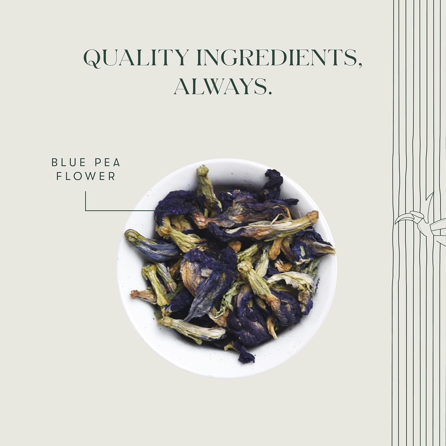 Luxmi Estates Butterfly Pea Flower Organic Blue Pea Flower Tea (50 Tea Bags) Caffeine Free Tea Bags For Relaxing, Calming, and Stress Relief, With Certified Herbal Tea
