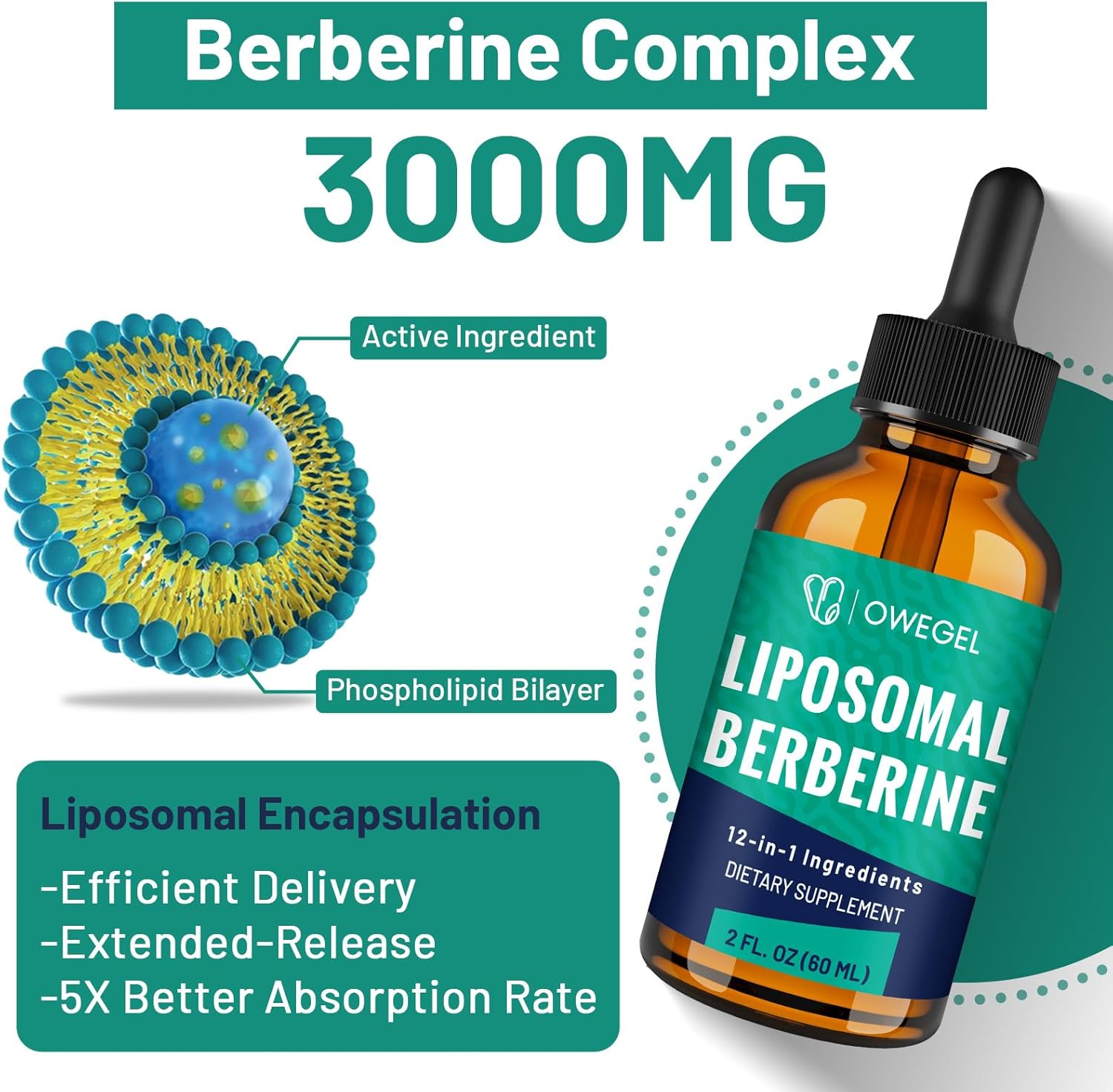 Liposomal Berberine HCL Liquid Drops – Advanced 12-in-1 Herbal Formula with Ceylon Cinnamon, Bitter Melon, Green Tea & More – 4 Fl Oz