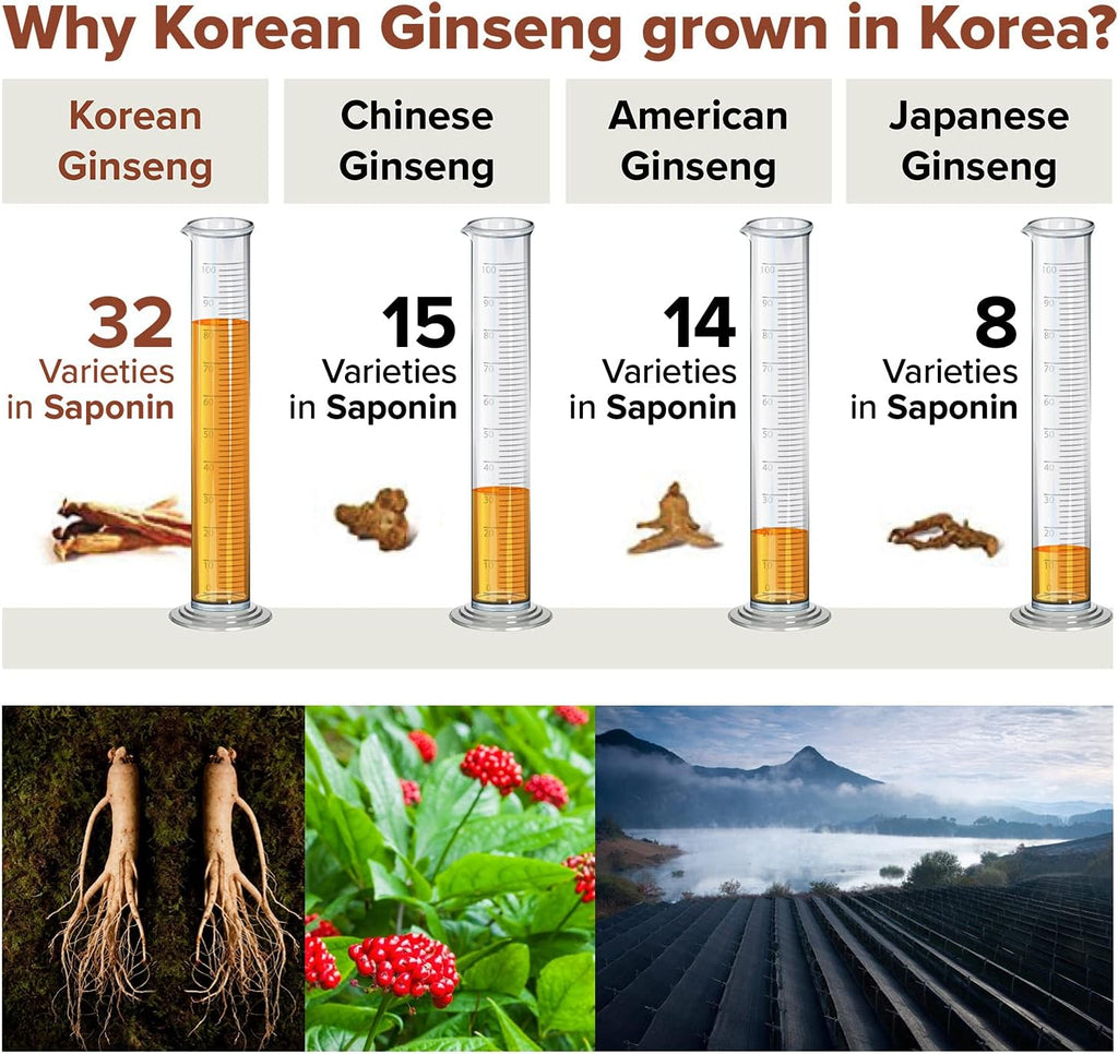 RG3 300- Ginsenosides Rg3 Enhanced (Rg3 : 50mg/Sachet) Korean Red Panax Ginseng Powder-Made in Korea, 10 Sachets, Rare Ginsenoside