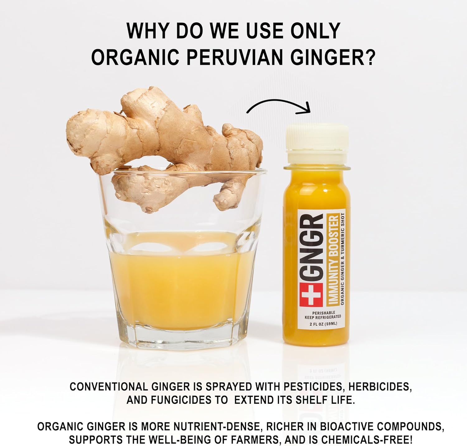 +GNGR Vitamin D Booster – Tropical Immunity Booster Edition Cold-Pressed Ginger Shot with Pineapple, Passion Fruit, Orange, Turmeric & Vitamin D3. Mood, Immunity & Energy. 2 fl oz (Pack of 12)