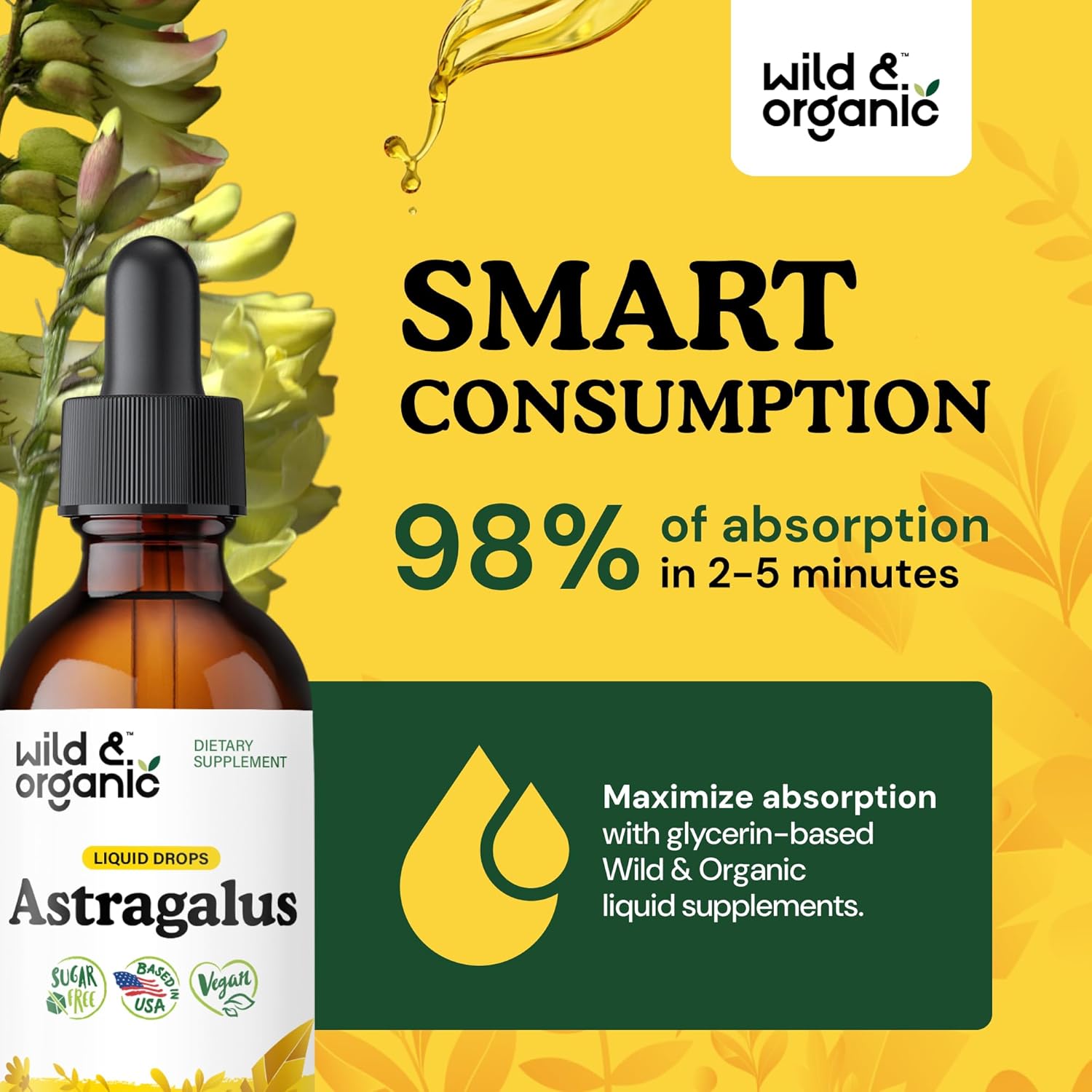 Wild & Organic Astragalus Tincture - Immune Support Drops w/Astragalus Root Extract - Herbal Supplement for Calmness & Relaxation - Vegan, Sugar & Alcohol Free - 2 fl oz