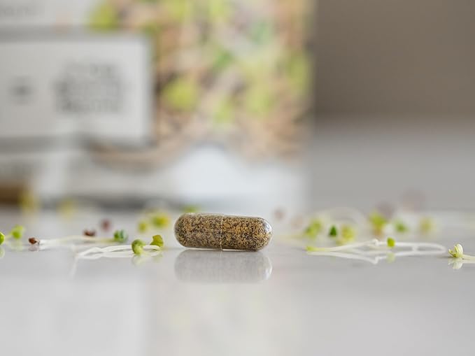 KOYAH - Organic Broccoli Sprout Capsules – Freeze-Dried Whole Broccoli Sprouts – 3rd Party Tested for Active Myrosinase & Glucoraphanin (Sulforaphane Glucosinolate) - 60 Capsules