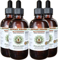 BlackBerry Alcohol-Free Liquid Extract, BlackBerry (Rubus Armeniacus) Root Glycerite Hawaii Pharm Natural Herbal Supplement 4x4 oz