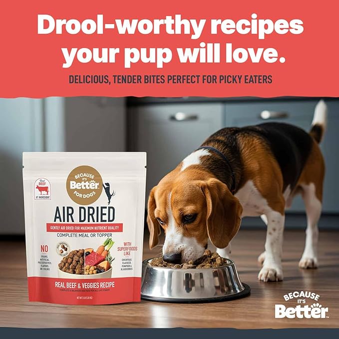 Because It's Better Slow Baked and Air Dried Dog Food, Real Beef and Veggies, 3lb Bag, Complete and Balanced Dry Dog Food, for All Life Stages