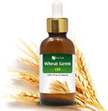 Wheat Germ (Triticum aestivum) Essential Oil 100% Pure & Natural Undiluted Uncut Cold Pressed Oil | Use for Aromatherapy (0.51 Fl Oz (Pack of 1))