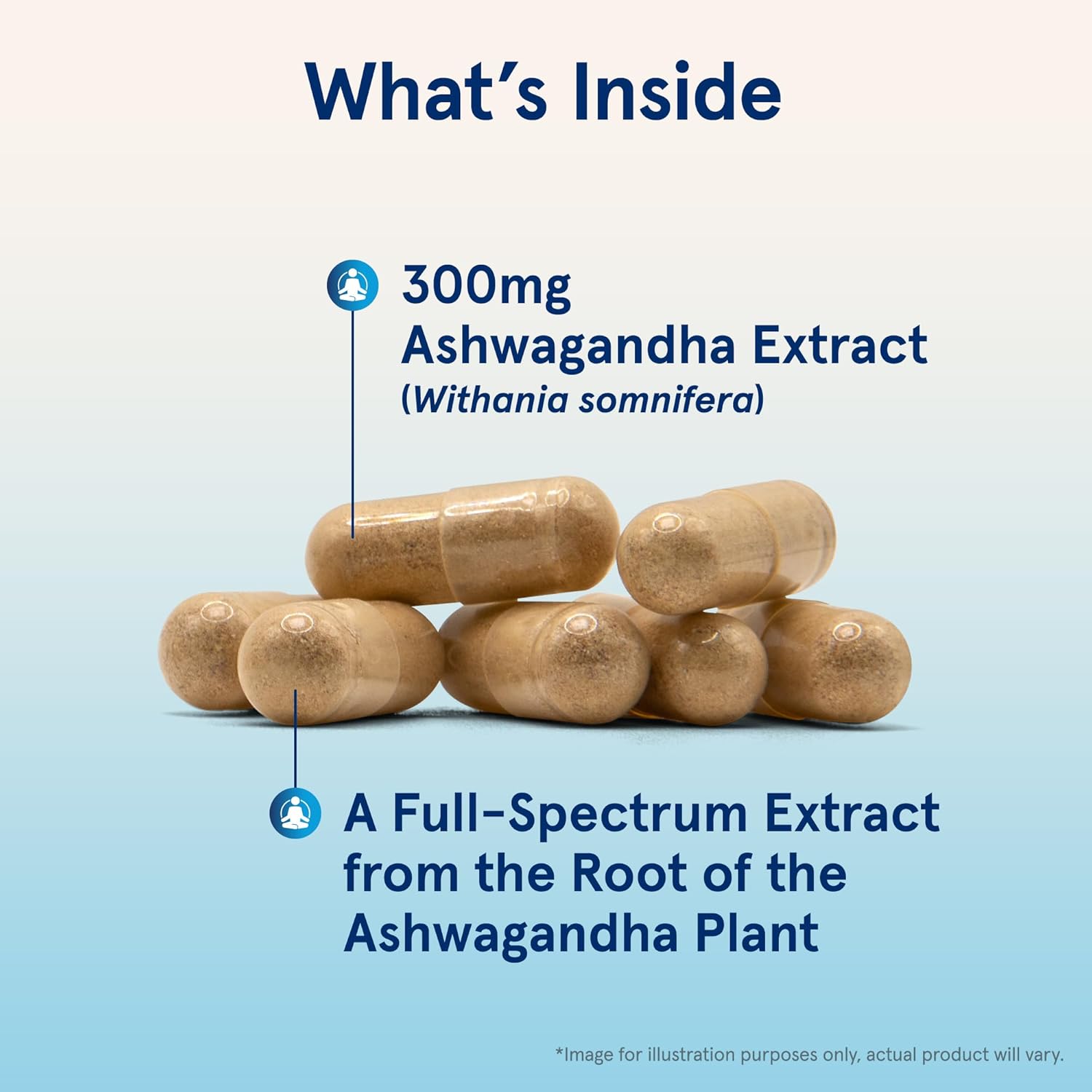 Jarrow Formulas® Ashwagandha Capsules, 300 mg Supplement Supports Normalized Resistance to Mental and Physical Stress, 120 Veggie Capsules, 60 Day Supply