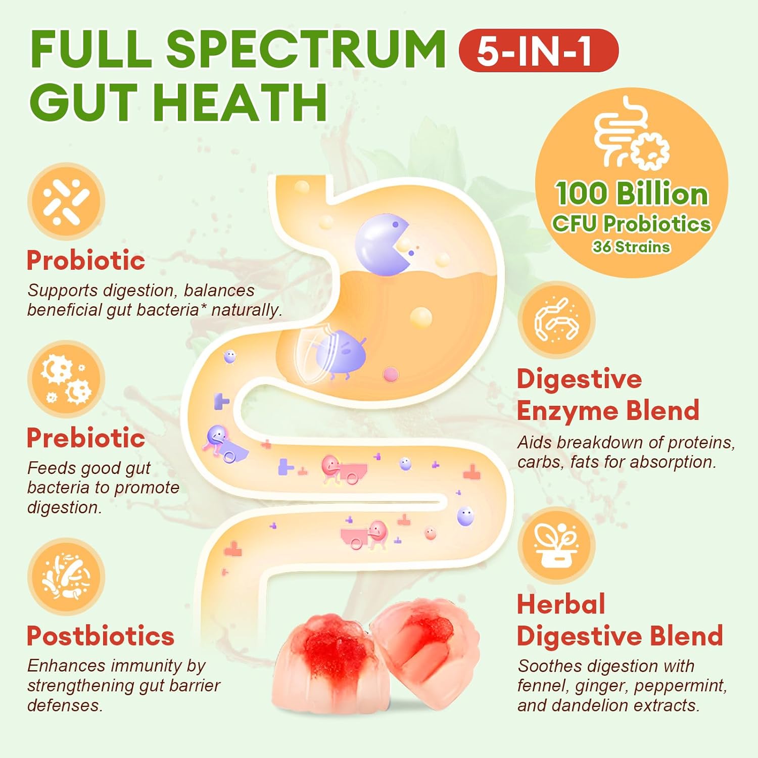Sugar Free 5-in-1 Probiotic Prebiotic Postbiotic Gummy, 36 Strains Probiotics for Women Men with Digestive Enzymes, Peppermint, Complete Immune, Gut & Digestive Support, Vegan, 60 Counts