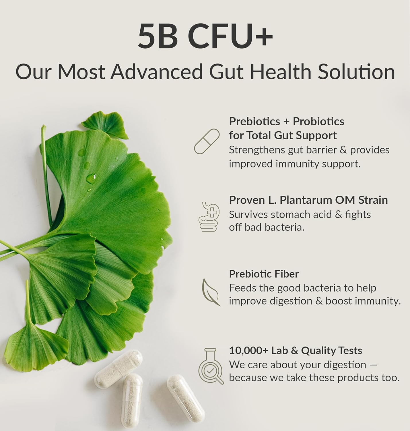 BiOptimizers Probiotic Breakthrough – Lactobacillus Plantarum OM Probiotics & Prebiotics Health Supplement for Gut, Digestive & Immune Support Probiotics for Women Men Elderly– 60 Vegan Capsules