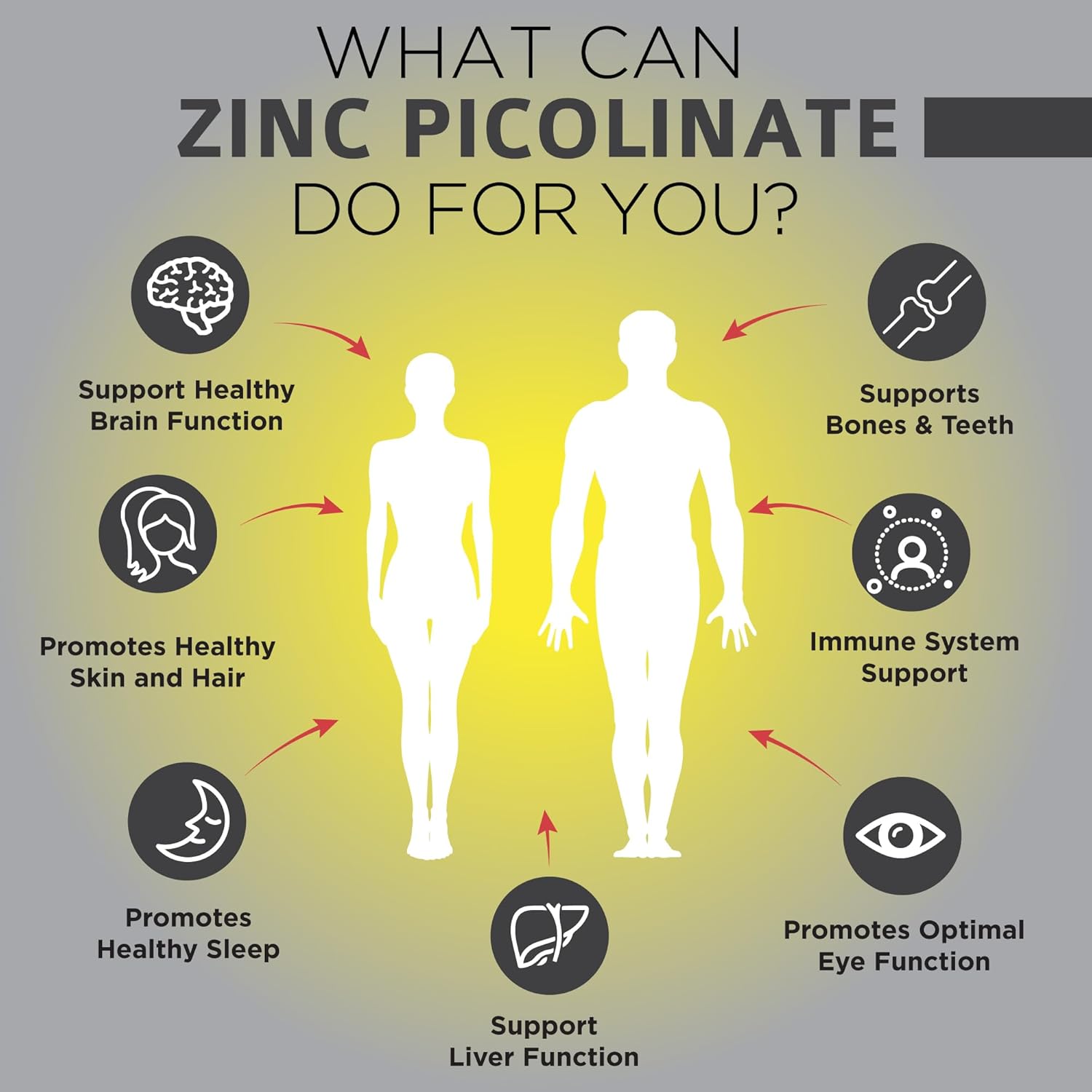 OmniBiotics Zinc Picolinate 30mg Supplement – High Absorption Zinc for Immune System, Healthy Skin, and Energy Support – 180 Vegan Capsules