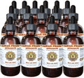 Astragalus Liquid Extract, Organic Astragalus (Astragalus membranaceus) Dried Root Tincture Supplement 15x4 oz