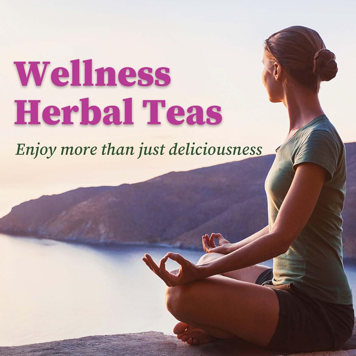 FullChea - Echinacea Tea Bags, 50 Count, 2g/bag - Premium Echinacea Purpurea Herb - Non-GMO - Caffeine-free - Aid Digestion & Boost Immunity